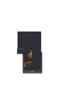 The Falcon